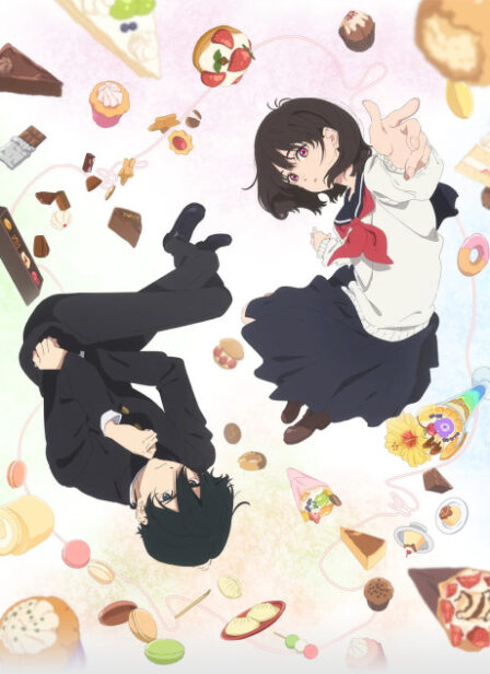 Shoushimin Series VOSTFR poster